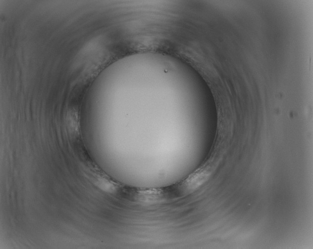 X0000073860240200608170950