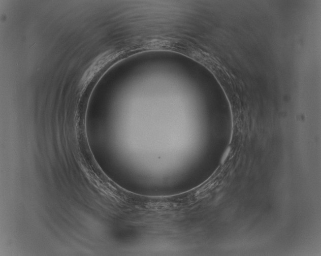 X0000073860242200608170949