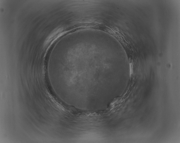 X0000073860243200608170949