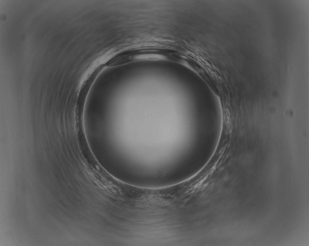 X0000073860244200608170949