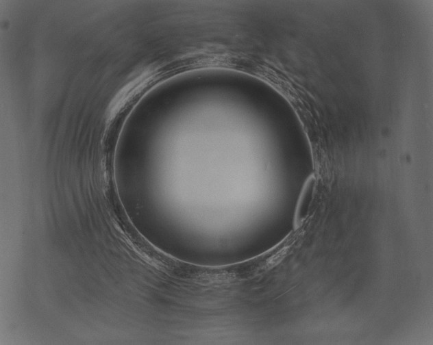 X0000073860245200608170949