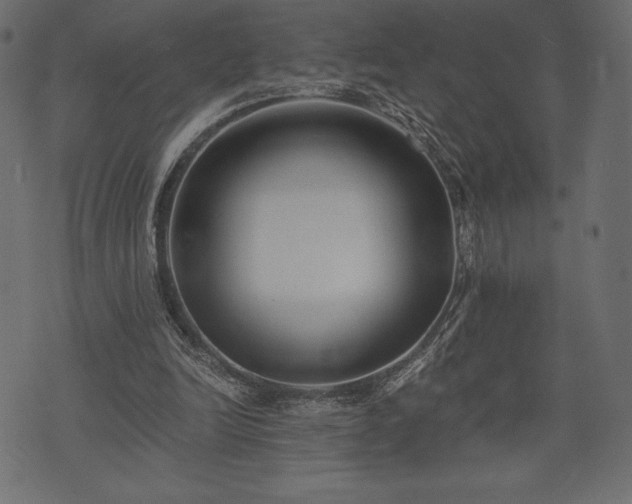 X0000073860246200608170949