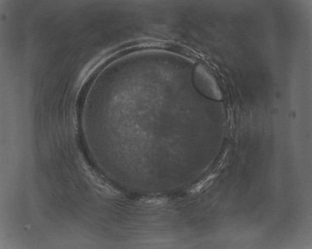 X0000073860247200608170949