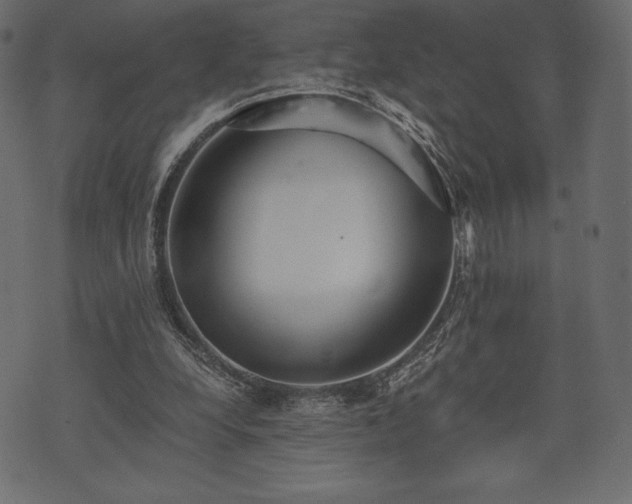 X0000073860248200608170949