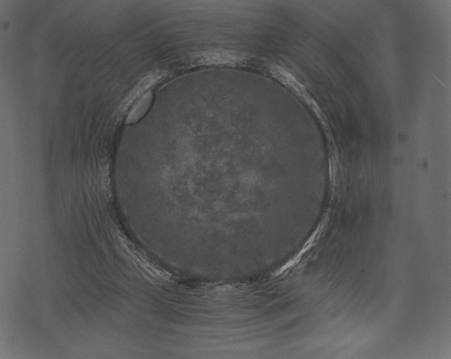 X0000073860249200608170949