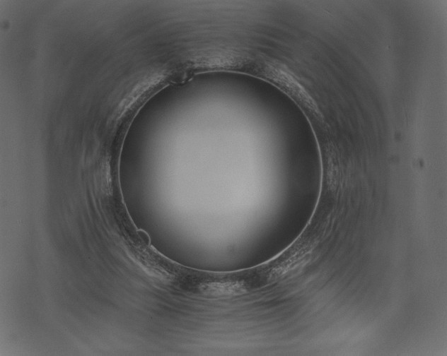 X0000073860251200608170949