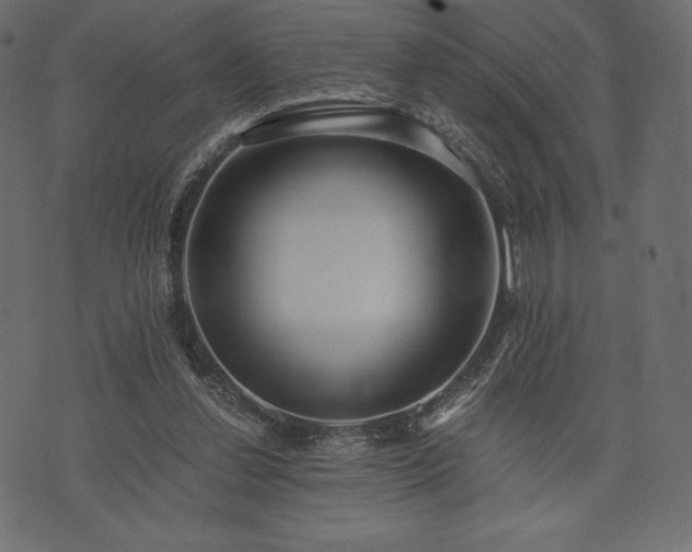 X0000073860252200608170949