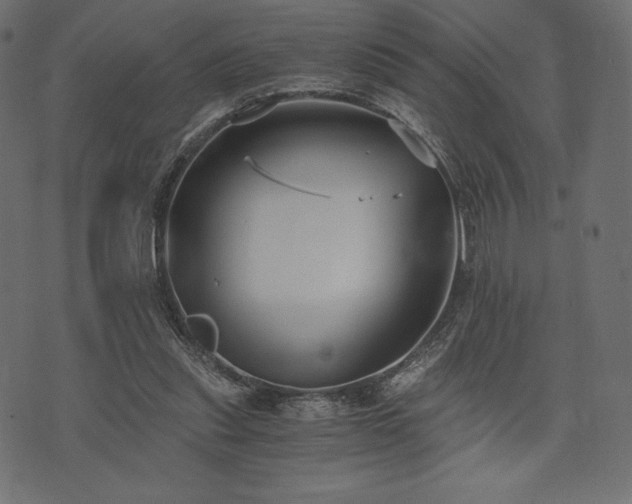 X0000073860253200608170949