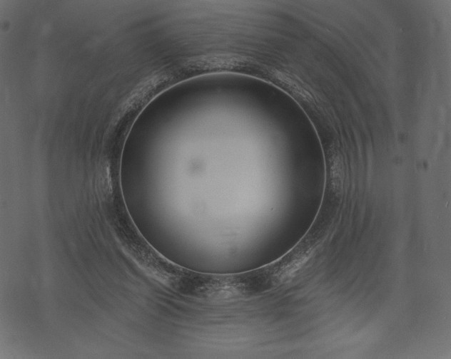 X0000073860254200608170949