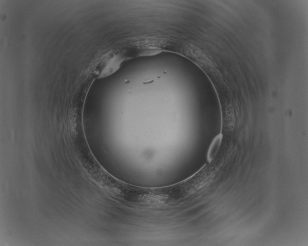 X0000073860255200608170949