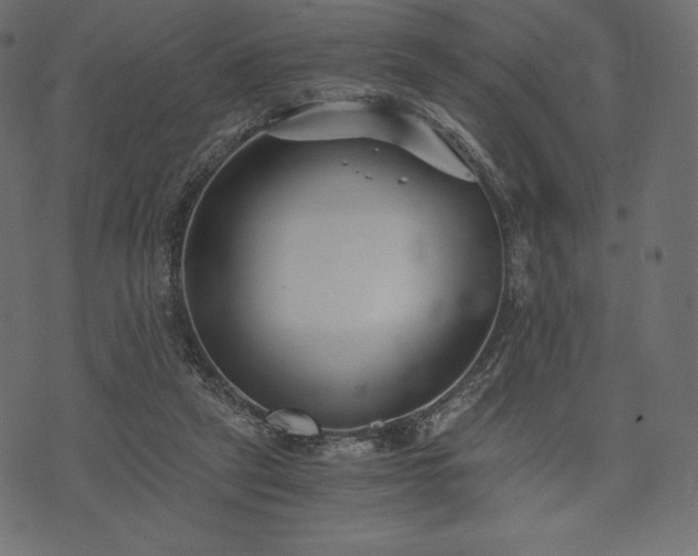 X0000073860257200608170949