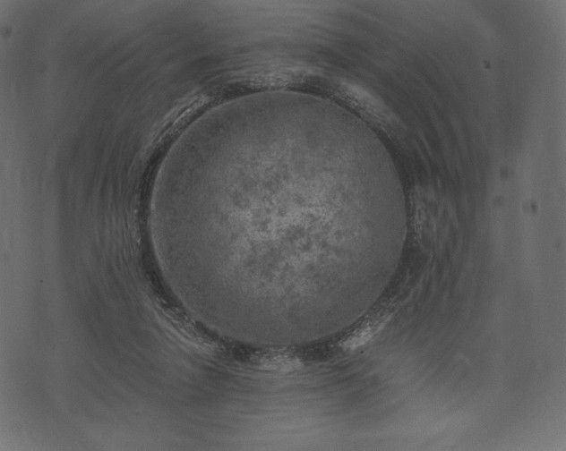 X0000073860258200608170949