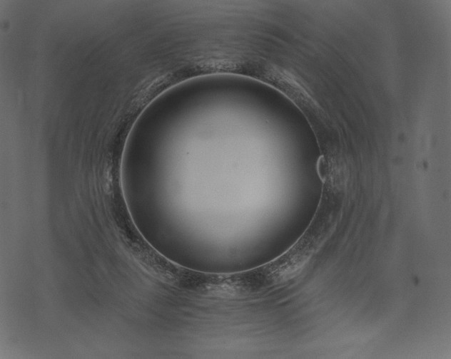 X0000073860259200608170949