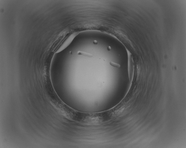 X0000073860260200608170949