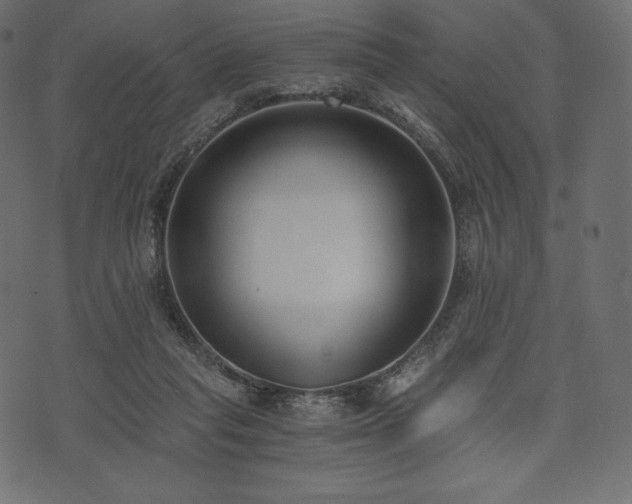 X0000073860261200608170950