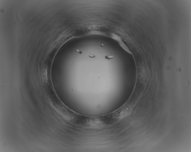 X0000073860262200608170950