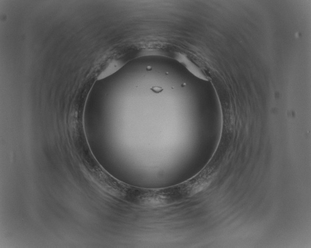 X0000073860263200608170950