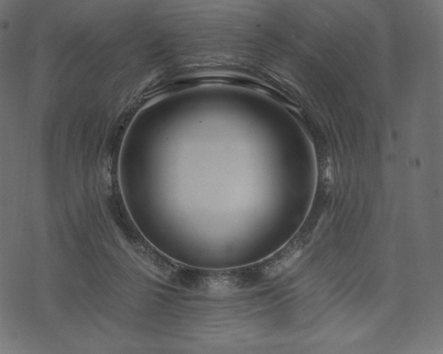 X0000073860264200608170950