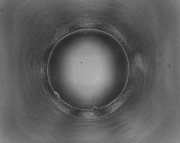 X0000073860265200608170950