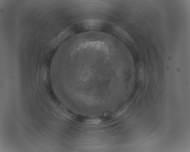 X0000073860266200608170950