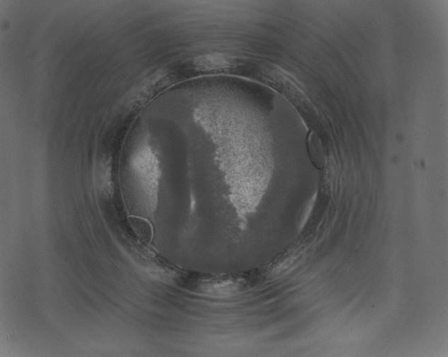 X0000073860267200608170950