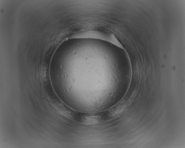 X0000073860268200608170950