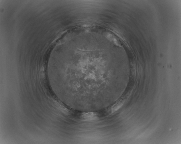 X0000073860269200608170950