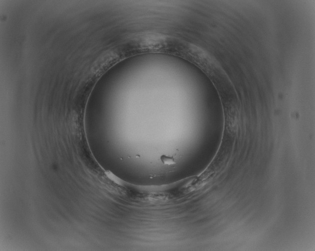 X0000073860270200608170950