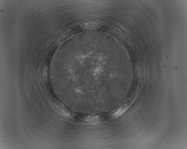 X0000073860271200608170950