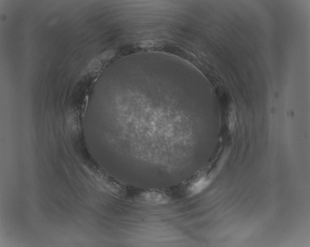 X0000073860272200608170950