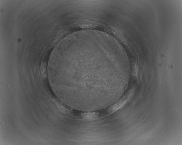 X0000073860273200608170950