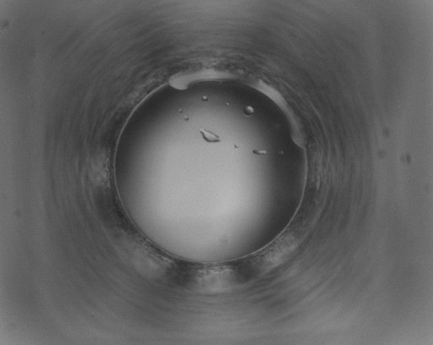 X0000073860274200608170950