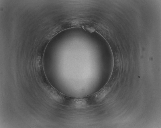 X0000073860275200608170950