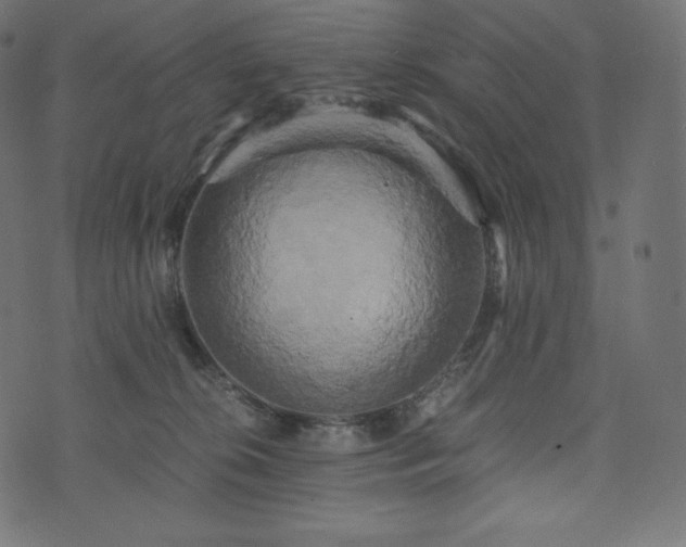 X0000073860276200608170950