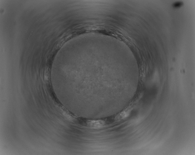 X0000073860277200608170950