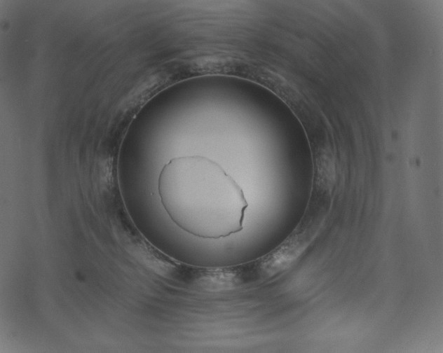 X0000073860278200608170950