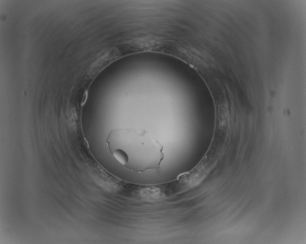 X0000073860279200608170950