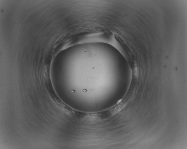 X0000073860280200608170950