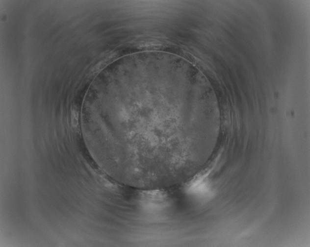 X0000073860281200608170950