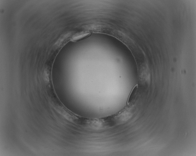 X0000073860282200608170950