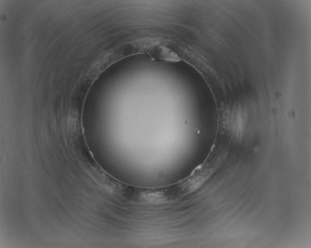 X0000073860283200608170950