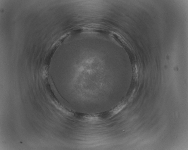 X0000073860284200608170950