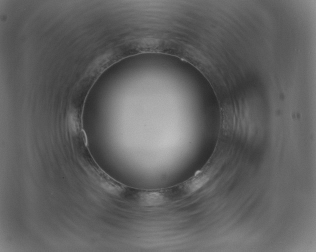 X0000073860287200608170950