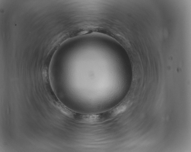 X0000073860288200608170950