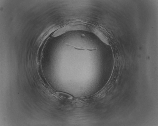 X0000073860290200608170949