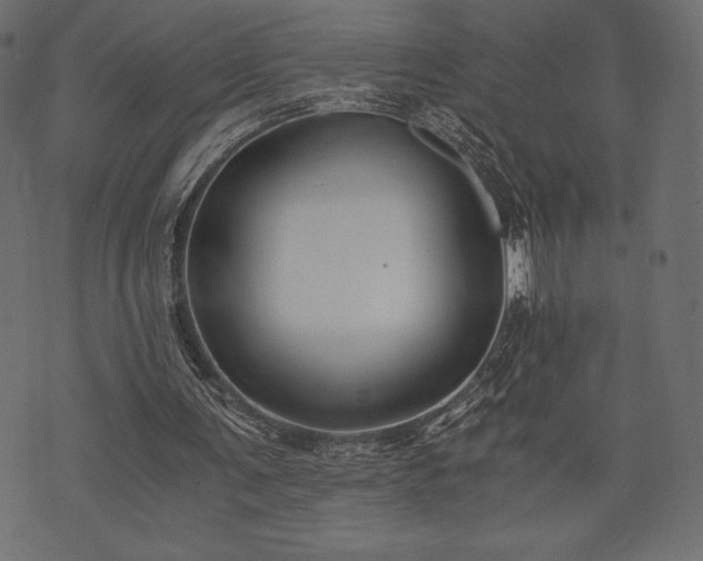 X0000073860291200608170949