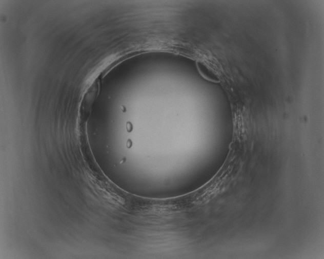 X0000073860292200608170949