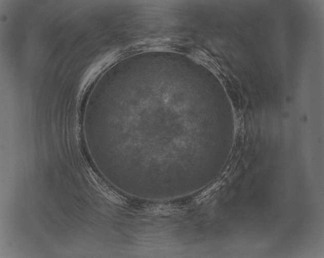 X0000073860293200608170949