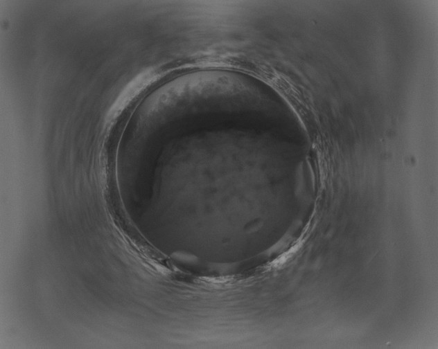 X0000073860295200608170949