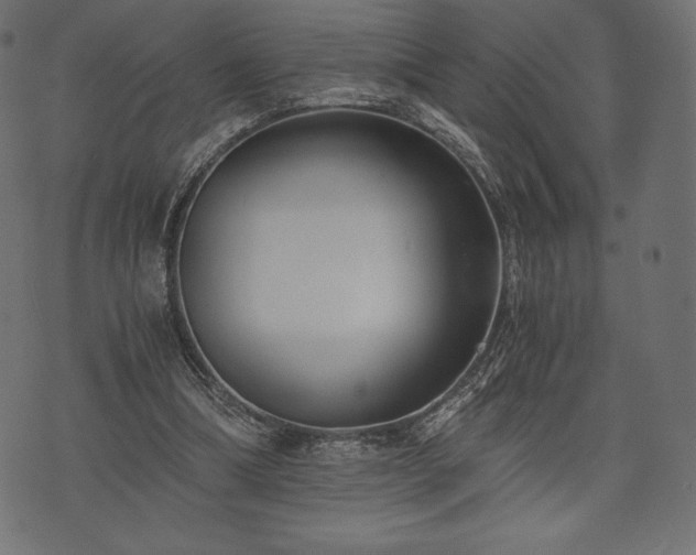 X0000073860298200608170949